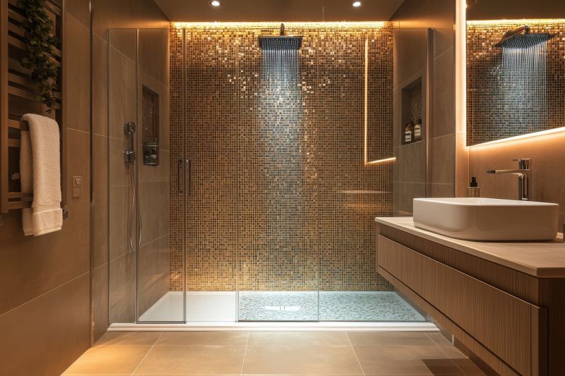 Modern Shower Area